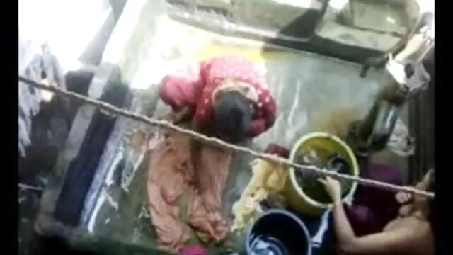 तारा जंगली सेक्सी फुल एचडी पिक्चर - अंतरजातीय