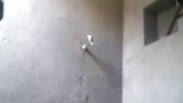 सिसिओलिना इंग्लिश सेक्स फुल एचडी ग्रुपेन - Driver72