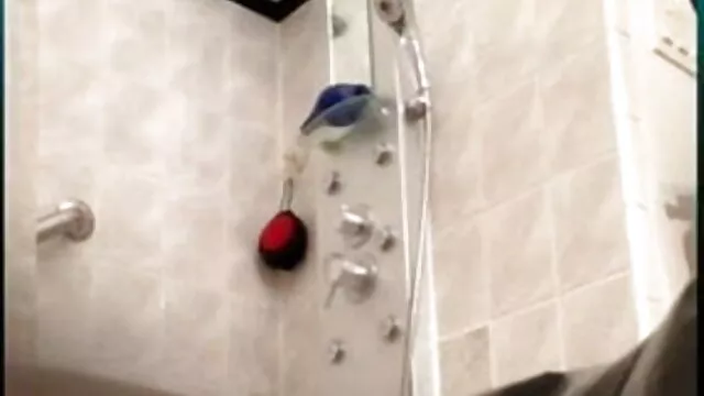 बॉन्ड बेब फुल सेक्सी बीएफ एचडी राइडिंग एनल