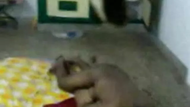 चार्ली सभी इंग्लिश सेक्स फुल एचडी प्राकृतिक james