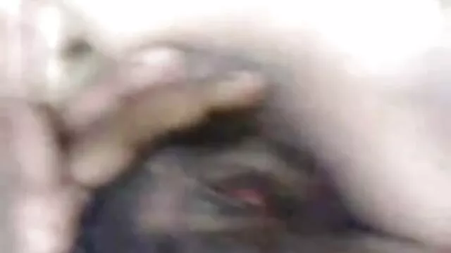 गोरा गांड-चुदाई फुल एचडी सेक्सी फिल्में