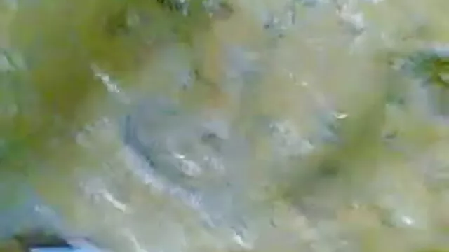 प्यारा बीएफ सेक्सी मूवी वीडियो फुल एचडी गधा