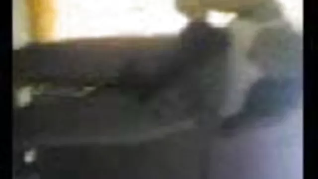 समलैंगिक वाइल्डकैट्स ब्लू सेक्सी फुल मूवी एचडी एक डिल्डो बकवास