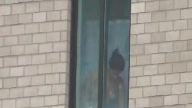 shollii सेक्सी मूवी फुल एचडी में