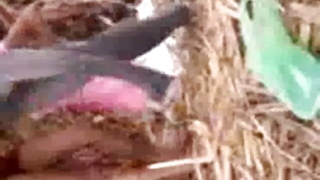 लील थोड़ा अधिक नरम बट बीएफ सेक्सी मूवी एचडी फुल