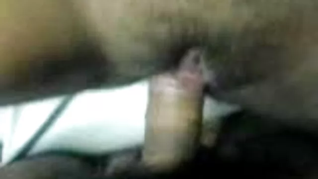 परिपक्व ब्राजील फुल सेक्सी एचडी वीडियो फिल्म के सुनहरे बालों वाली अद्भुत बड़ा गधा हर छेद troia में ले लो