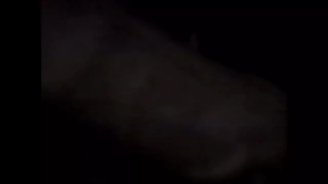 स्वीडिश वेबकैम सेक्सी वीडियो फिल्म फुल एचडी में