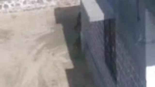 संकलन -गॉड्स- PART2 (सुइट) फुल सेक्सी एचडी वीडियो फिल्म