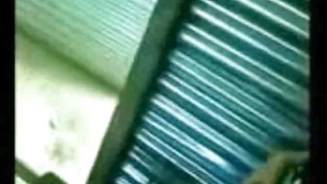 हेल्गा फुल सेक्सी हिंदी में एचडी स्वेन