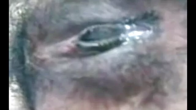 एशियाई सेक्सी मूवी एचडी फुल