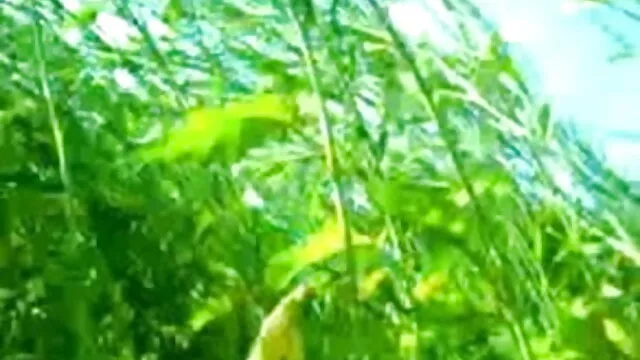 सेक्सी किशोरों घर सेक्सी वीडियो सेक्सी वीडियो फुल मूवी एचडी का बना - csm