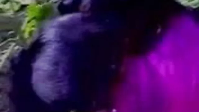 अच्छा परिपक्व बीबीडब्ल्यू सेक्सी फिल्म वीडियो फुल एचडी कमबख्त गुदा है