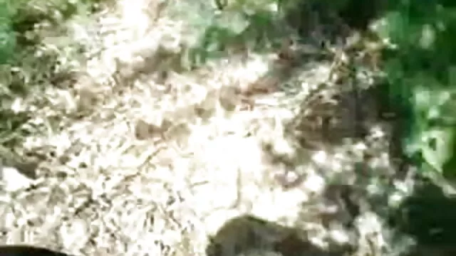 सेक्सी एमेच्योर सेक्सी फिल्म पंजाबी फुल एचडी वेब कैमरा किशोर हस्तमैथुन