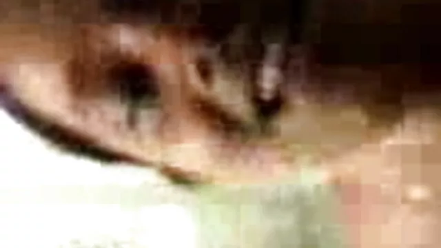 परिपक्व दादी माँ कठिन गड़बड़ सेक्सी मूवी फुल एचडी