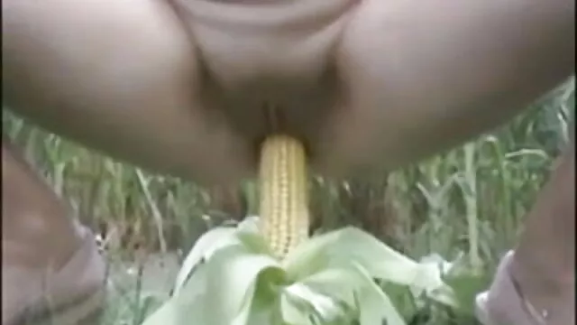 चेयेने और उसका बॉयटॉय सेक्सी बीएफ फिल्म फुल एचडी में