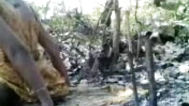 जेड एचडी सेक्सी फिल्म फुल ईस्ट पीटर नॉर्थ 2