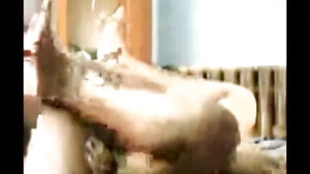 मेरिडियन बुत फुल एचडी हिंदी सेक्सी फिल्म २