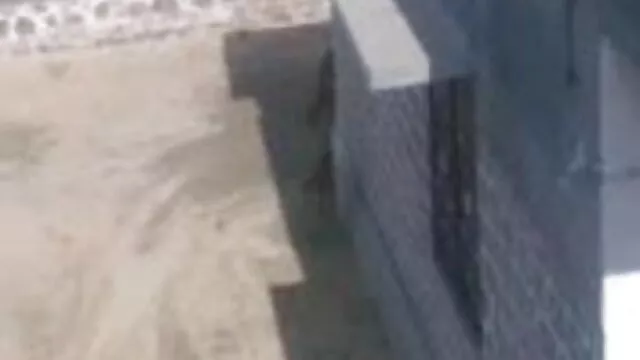 एशियाई बंधन हिंदी सेक्सी फिल्म फुल एचडी स्तन