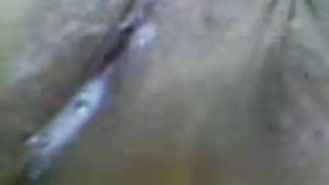 मेकिंग फुल सेक्सी एचडी पिक्चर टिट्स बाउंस