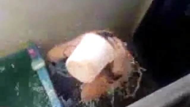 ग्रेनटेन फुल एचडी में सेक्सी पिक्चर ओमास भाग 6 जैकलीन फिलिप