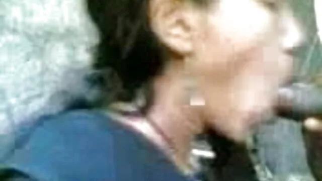 Danni फुल एचडी सेक्सी मूवी ऐश और दोस्तों।